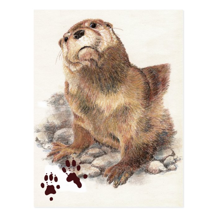 Cute River Otter, Animal and Tracks, Natue Post Card