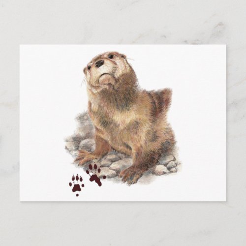 Cute River Otter Animal Tracks Wildlife Postcard