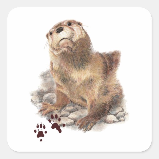 Cute River Otter, Animal Tracks, Wildlife Square Sticker (Front)