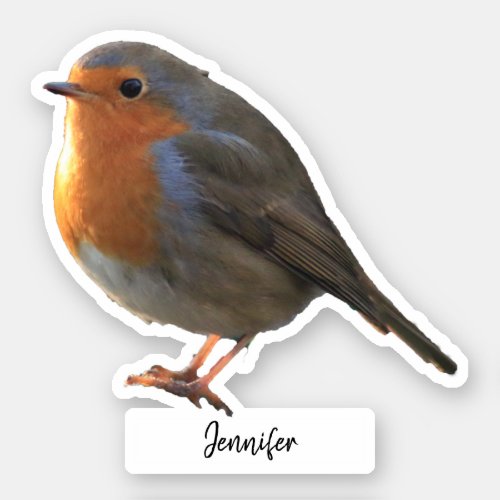 Cute Robin bird personalized custom cut Sticker