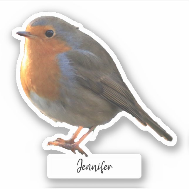Cute Robin bird personalized custom cut Sticker (Front)
