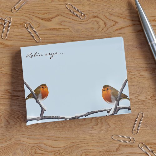 Cute Robin Bird Personalized Winter Blue Post_it Notes