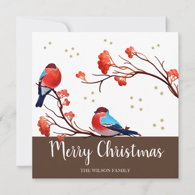 Cute Robin Birds On Red Berry Branch Christmas Holiday Card (Front)
