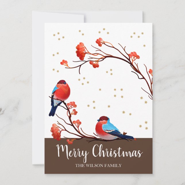 Cute Robin Birds On Red Berry Branch Christmas Holiday Card (Front)