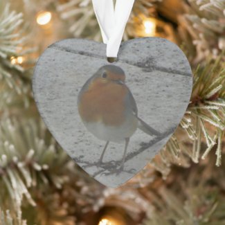 Cute Robin Christmas Ornament