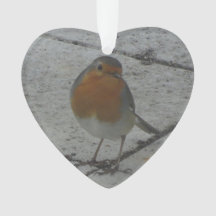 Cute Robin Christmas Ornament