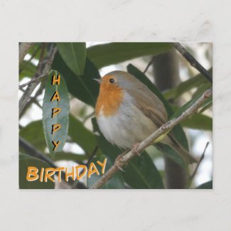 Cute Robin & Green Leaves Happy Birthday Postcard