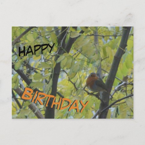 Cute Robin in Tree Happy Birthday Postcard