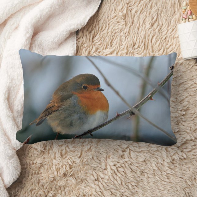 Cute Robin red breast bird photo Lumbar Pillow (Blanket)