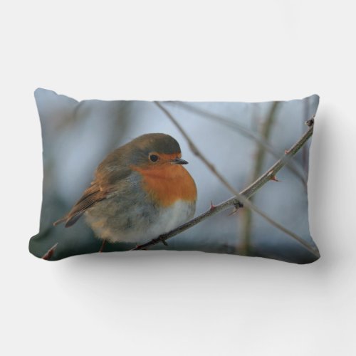Cute Robin red breast bird photo Lumbar Pillow