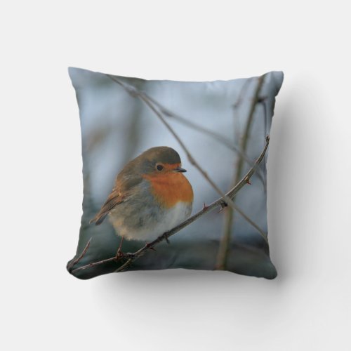 Cute Robin red breast bird photo Throw Pillow