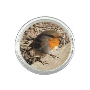 CUTE ROBIN RING