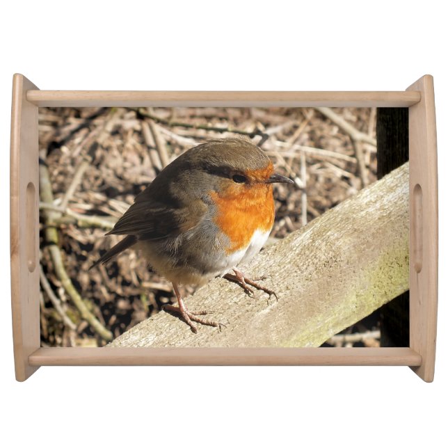 CUTE ROBIN SERVING TRAY (Front)