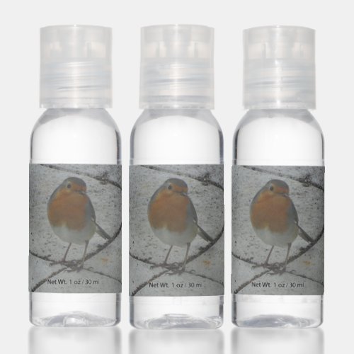 Cute Robin Travel Bottle Set Hand Sanitizer