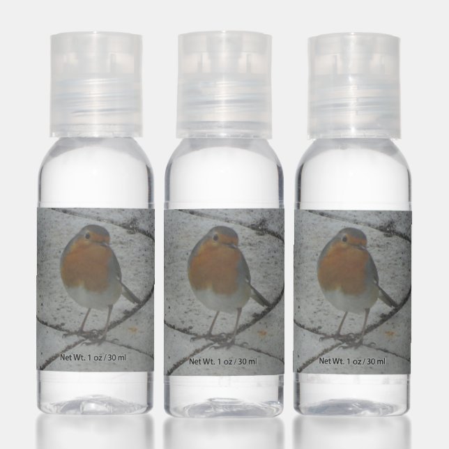 Cute Robin Travel Bottle Set Hand Sanitizer (Set)