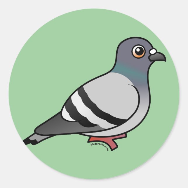 Cute Rock Pigeon Classic Round Sticker (Front)