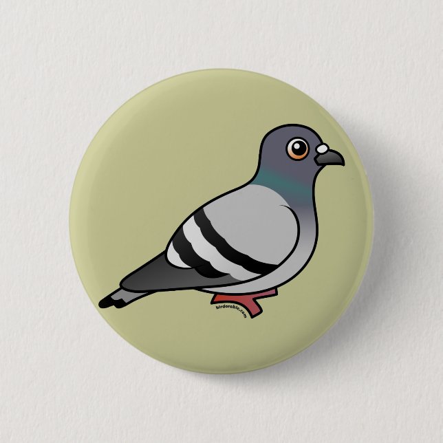 Cute Rock Pigeon Pinback Button (Front)