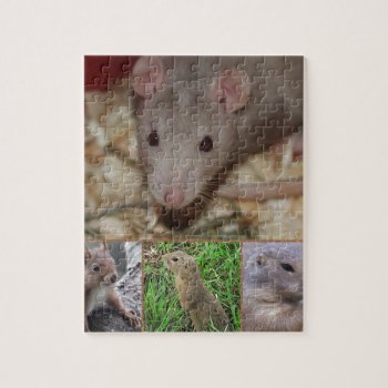 Cute Rodents Jigsaw Puzzle by MehrFarbeImLeben at Zazzle