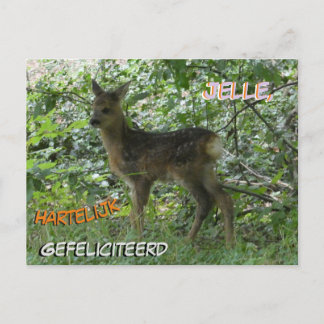 Cute Roe Deer in the Forest Birthday Postcard
