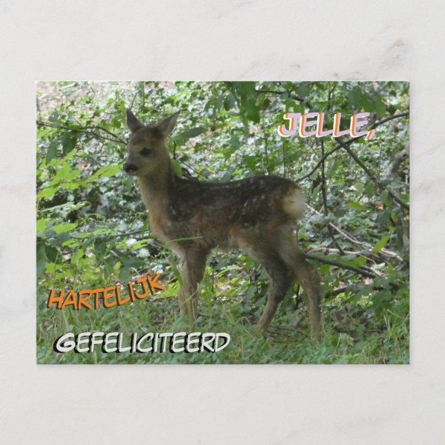 Cute Roe Deer in the Forest Birthday Postcard (Front)