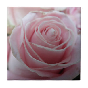 Cute Rose Flower Ceramic Tile