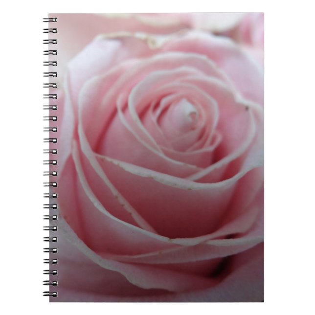 Cute Rose Flower Notebook (Front)