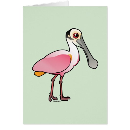Cute Roseate Spoonbill Cards (Front)