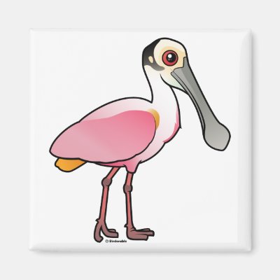 Discover 10 Fascinating Facts About the Cute Roseate Spoonbill