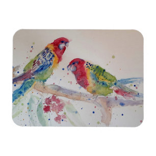 Cute Rosella Parrots bird Watercolour Art Magnet