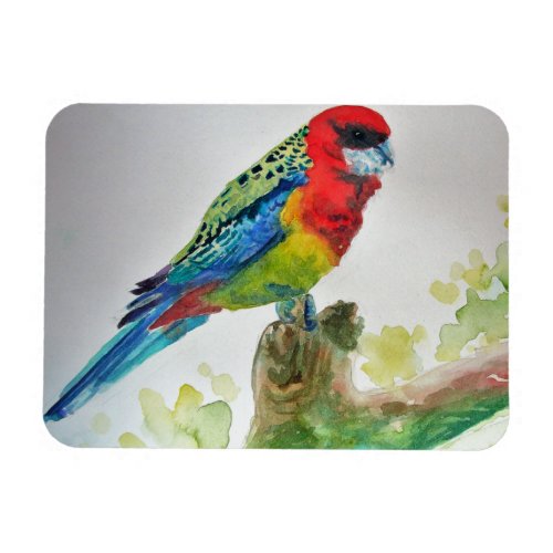 Cute Rosella Parrots bird Watercolour Art Magnet