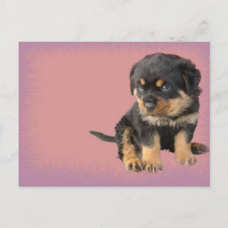 Cute Rottweiler Birthday Postcard