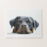 Dog breeds shop puzzle 166