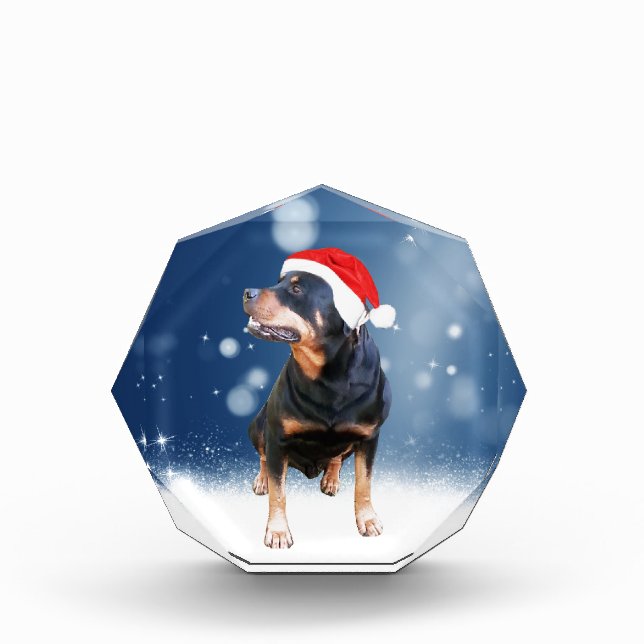 Cute Rottweiler Dog Christmas Santa Hat Snow Stars Acrylic Award (Front)