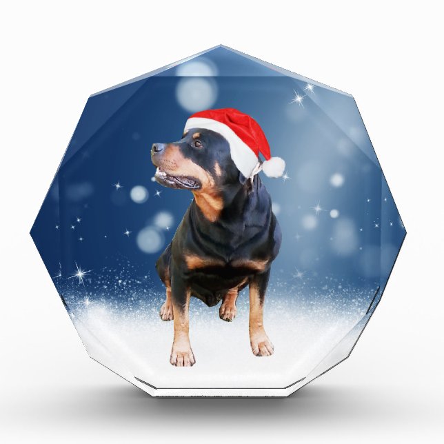 Cute Rottweiler Dog Christmas Santa Hat Snow Stars Award (Front)