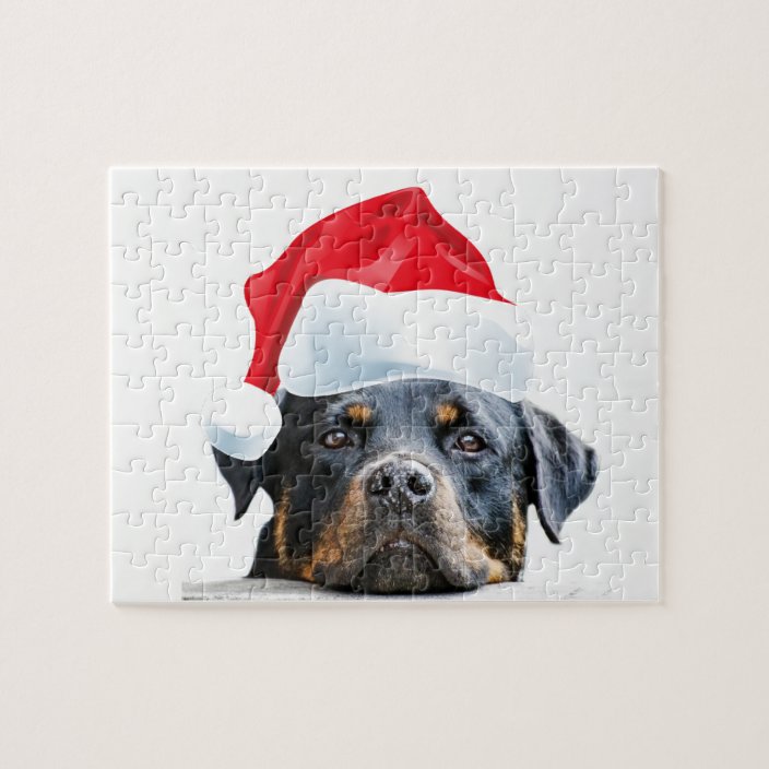 gifts for rottweiler owners