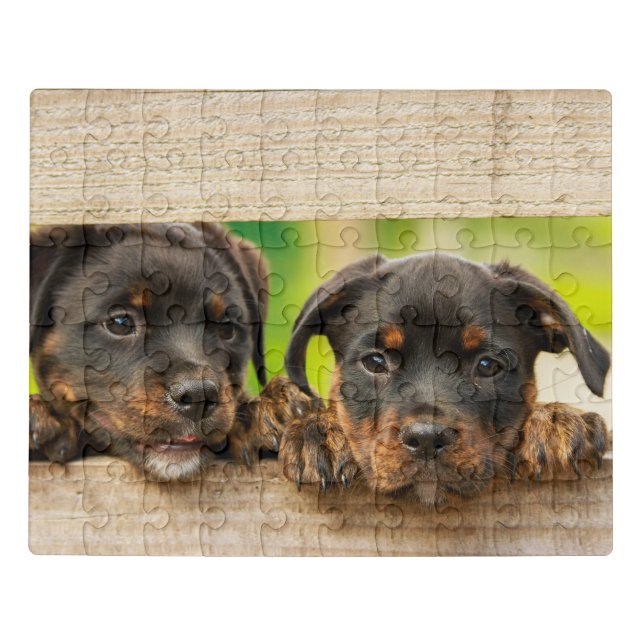 Cute Rottweiler Puppies Dog Animal Nature Jigsaw Puzzle (Puzzle Horizontal)