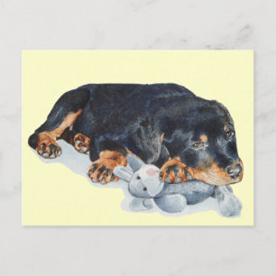 cute rottweiler puppy dog cuddling teddy bear art postcard