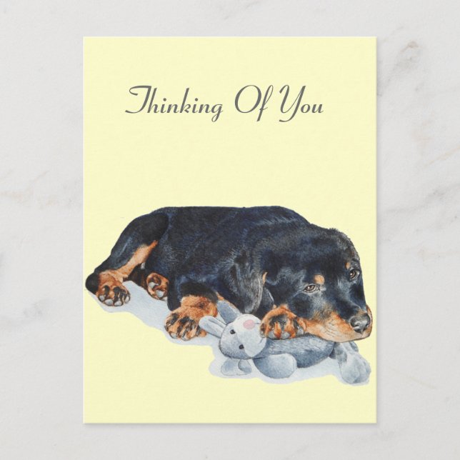 cute rottweiler puppy dog cuddling teddy bear art postcard (Front)