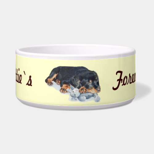 cute rottweiler puppy dog cuddling teddy bear bowl