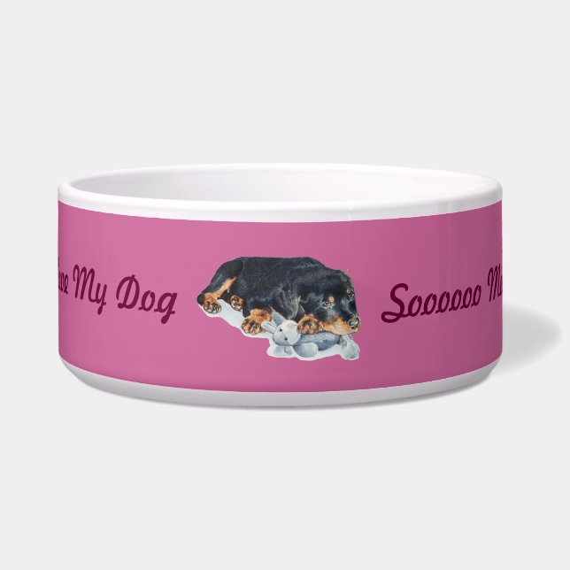 cute rottweiler puppy dog cuddling teddy bowl (Front)