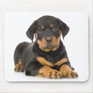 Cute Rottweiler  Puppy Dog  Resting Mousepad