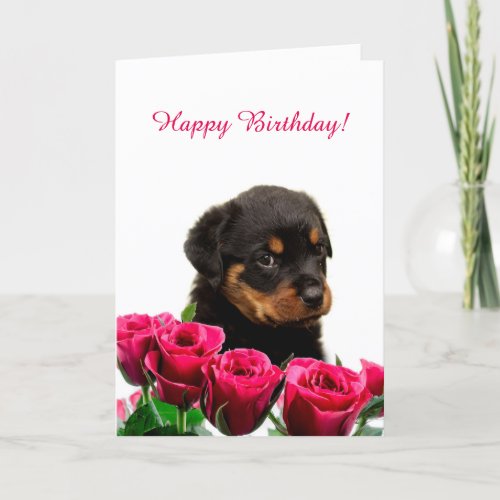 Cute Rottweiler Puppy Red Roses Happy Birthday Card