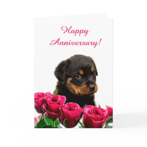 Cute Rottweiler Puppy Rose Anniversary Card