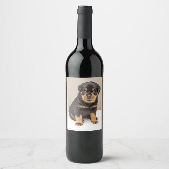 Cute Rottweiler Puppy Wine Label (Front)
