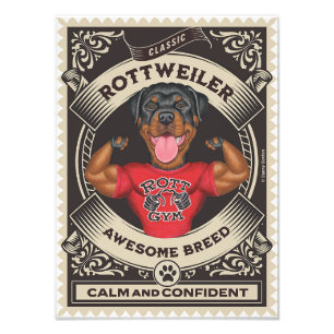 Cute Rottweiler Rottie with Muscles Photo Print