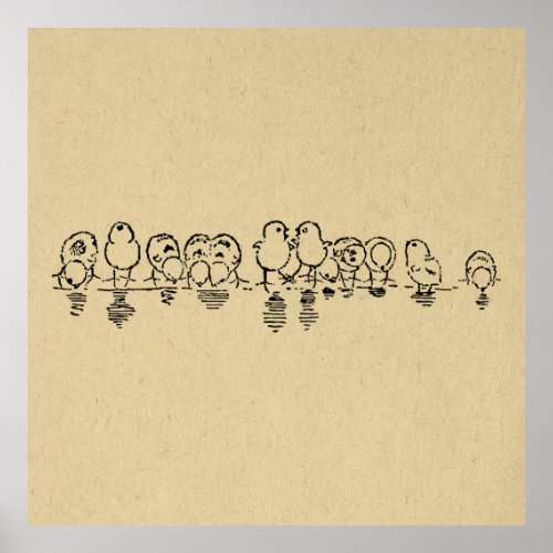 Cute Row of Birds Poster