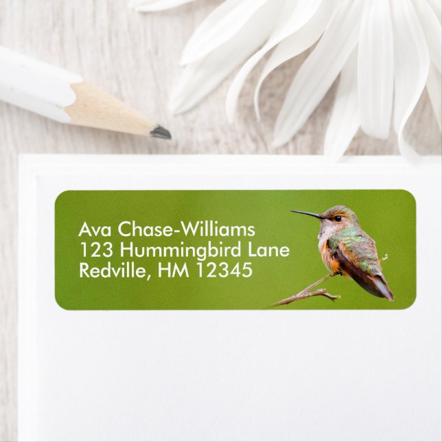 Cute Rufous Hummingbird on California Lilac Label (Insitu)
