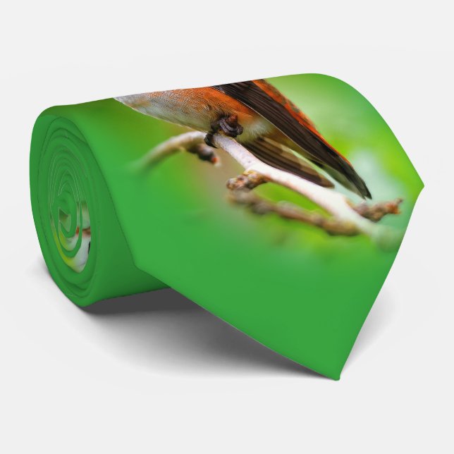 Cute Rufous Hummingbird on Plum Tree Branch Neck Tie (Rolled)