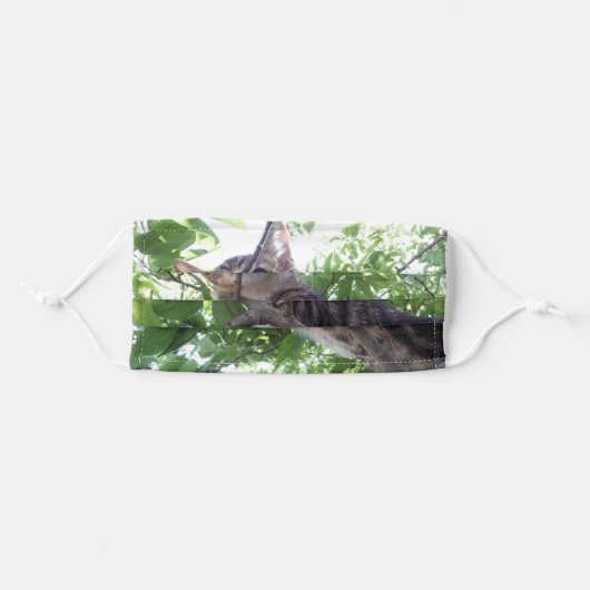 Cute Rumple Kitty Playing in the Tree Adult Cloth Face Mask (Front, Folded)