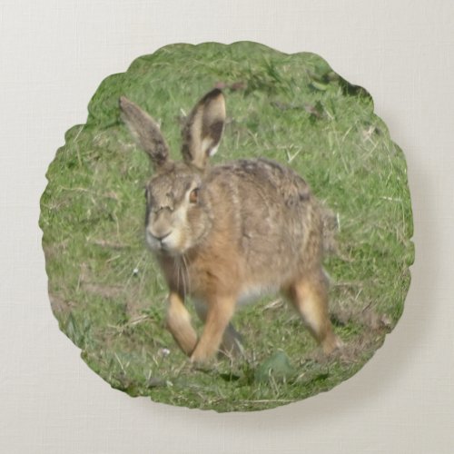 Cute Running Hare Close up Round Pillow